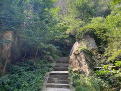 -北京凤凰岭