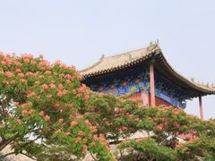 -天津妈祖文化园