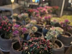 -瓦库茶馆17号(海汇港店)