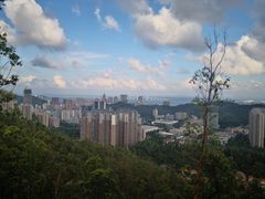 -板樟山森林公园