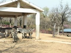 -石家庄市动物园