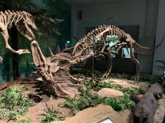 -自贡恐龙博物馆