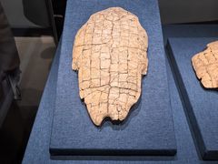 -盘龙城遗址博物院