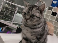 -极木²邸 人与宠物·互动社区