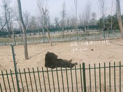 -秦皇岛野生动物园