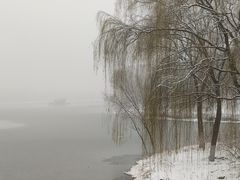 -大兴滨河森林公园