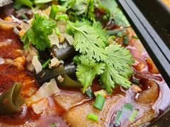 XX火锅粉-五大金刚(九街店)