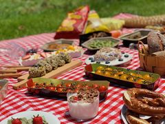 -春花秋色城市公园