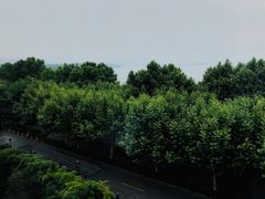 -杭州君悦酒店