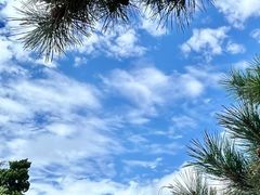 -青岛第一海水浴场