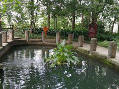 -成都市活水公园