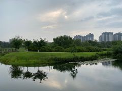 -眉山湿地公园(东坡区)