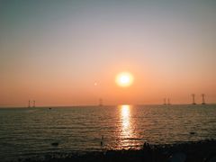 -宝安西湾红树林湿地公园