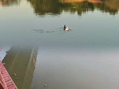 -福田红树林生态公园