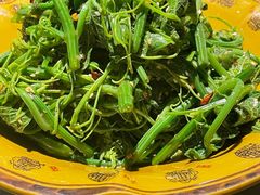 凉拌丝瓜尖-灶东家民间菜(回兴店)