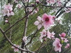 -江南大学(蠡湖校区)
