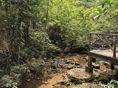 -海南热带雨林国家公园吊罗山景区