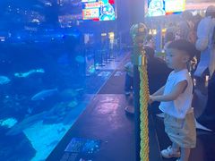 -成都浩海立方海洋公园