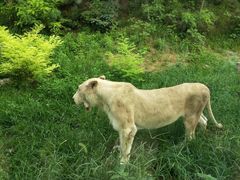 -石家庄市动物园