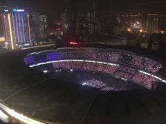 -星城之眼摩天轮