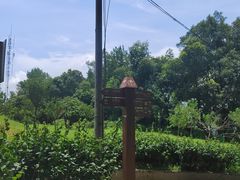 -白云山风景名胜区