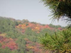 -北京西山国家森林公园