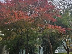 -苏州环秀晓筑养生度假村