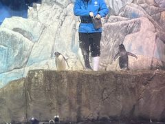 -成都浩海立方海洋公园