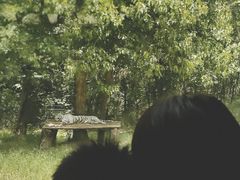 -西安秦岭野生动物园