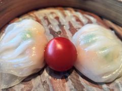 -新兴·金羊座·粤菜点心(乐峰店)