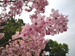 -乌山风景区