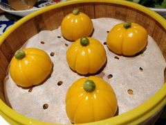 像生小南瓜-江南赋(内蒙古大厦店)