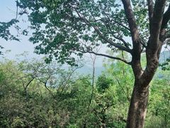 -香山公园