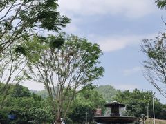 -美的鹭湖森林度假区