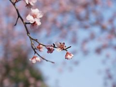 -白塘生态植物园