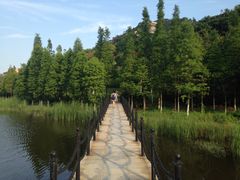 -厦门国家会计学院