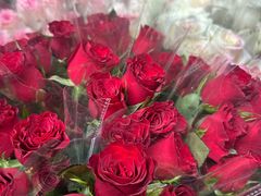 -循礼门鲜花花市(武汉循礼门店)