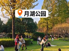 -月湖公园