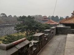 -北陵公园