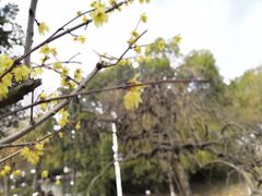 -敬亭山风景名胜区