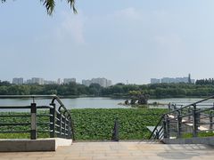 -大兴滨河森林公园