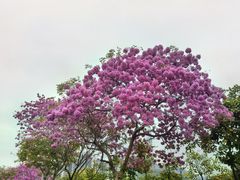 -万科前海企业公馆