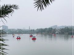 -枫香湖儿童公园