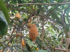 -兰陵国家农业公园