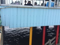 -西门岛码头海鲜馆