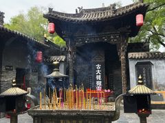 -大槐树寻根祭祖园