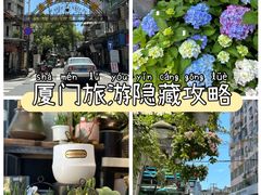 -溪岸路花鸟市场