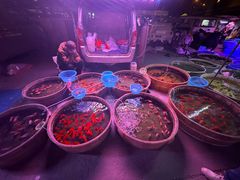 -中环花鸟鱼虫市场