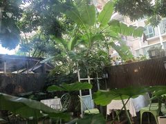 -绿房子方寸咖啡(星海名城店)