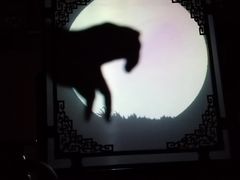 -盖碗儿梨园·变脸吐火·川剧(天府广场店)